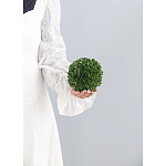 Декоративный искусственное растение Small boxwood варинант исполнения - 3 | Loft Concept в Екатеринбурге