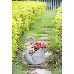 Кашпо The Proud Swan варинант исполнения - 6 | Loft Concept в Екатеринбурге