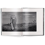 Книга Beusker. Look into my Eyes варинант исполнения - 1 | Loft Concept в Екатеринбурге