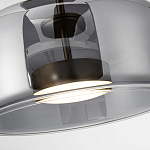 Подвесной светильник Blanton Smoky Hanging Lamp 38 варинант исполнения - 4 | Loft Concept в Екатеринбурге