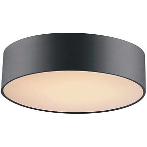 Потолочный светильник Cylindra Black 40