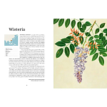 Прекрасно иллюстрированная книга более 100 ботанических произведений Plant Hunters Atlas варинант исполнения - 4 | Loft Concept в Екатеринбурге