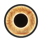 Бра круглое Gold Sun Lighting  варинант исполнения - 1 | Loft Concept в Екатеринбурге