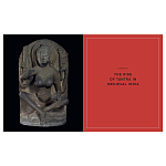 Книга Tantra: Enlightenment to Revolution варинант исполнения - 5 | Loft Concept в Екатеринбурге