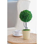 Декоративный искусственное растение Single boxwood варинант исполнения - 5 | Loft Concept в Екатеринбурге