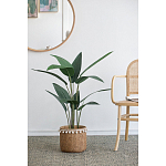 Декоративный искусственное растение Decor Stile  варинант исполнения - 5 | Loft Concept в Екатеринбурге